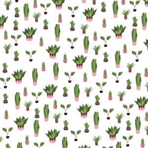 Succulents