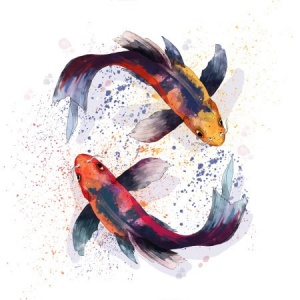 Koi Fish